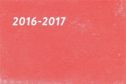Workshops 2016/17