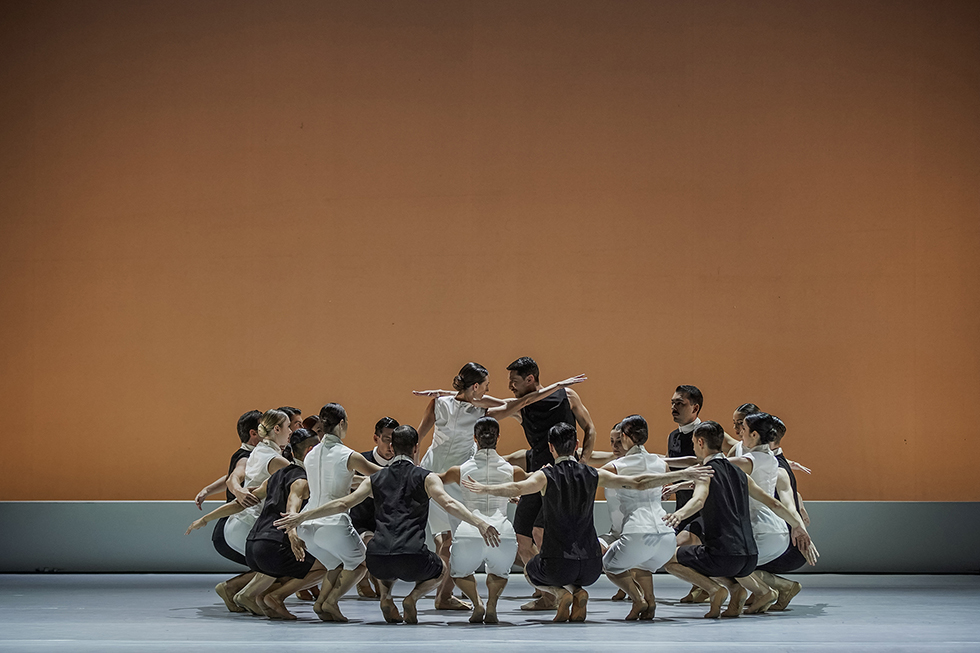 ELS coppelia 4.jpg