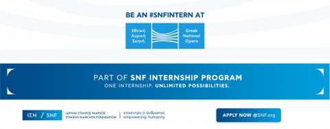 SNF INTERNSHIP PROGRAM