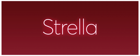 The new chamber opera Strella opens on the GNO Alternative Stage