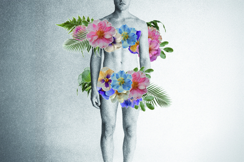 Monsieur V&eacute;nus