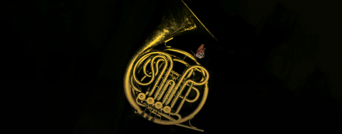 &Sigma;&upsilon;&nu;&alpha;&upsilon;&lambda;ί&alpha; &tau;&eta;&sigmaf; &Phi;&iota;&lambda;&alpha;&rho;&mu;&omicron;&nu;&iota;&kappa;ή&sigmaf; &Omicron;&rho;&chi;ή&sigma;&tau;&rho;&alpha;&sigmaf; &tau;&omicron;&upsilon; &Delta;ή&mu;&omicron;&upsilon; &Chi;&alpha;&lambda;&alpha;&nu;&delta;&rho;ί&omicron;&upsilon; &sigma;&tau;&eta;&nu; &Epsilon;&nu;&alpha;&lambda;&lambda;&alpha;&kappa;&tau;&iota;&kappa;ή &Sigma;&kappa;&eta;&nu;ή