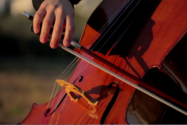 Tribute to the International PelionFestival’s Violoncello Festival