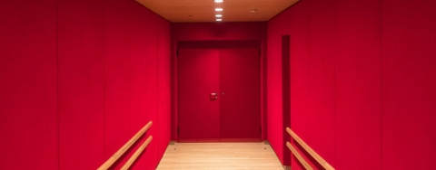 &Mu;ί&alpha; &epsilon;&pi;&iota;&pi;&lambda;έ&omicron;&nu; &pi;&alpha;&rho;ά&sigma;&tau;&alpha;&sigma;&eta; &gamma;&iota;&alpha; &tau;&eta;&nu; &pi;&alpha;&rho;&alpha;&gamma;&omega;&gamma;ή &Eta; &lambda;ί&mu;&nu;&eta; &tau;&omega;&nu; &kappa;ύ&kappa;&nu;&omega;&nu;