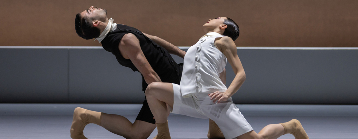 AUDITION FOR DANCERS FOR THE PRODUCTION &ldquo;COPP&Eacute;LIA&rdquo;