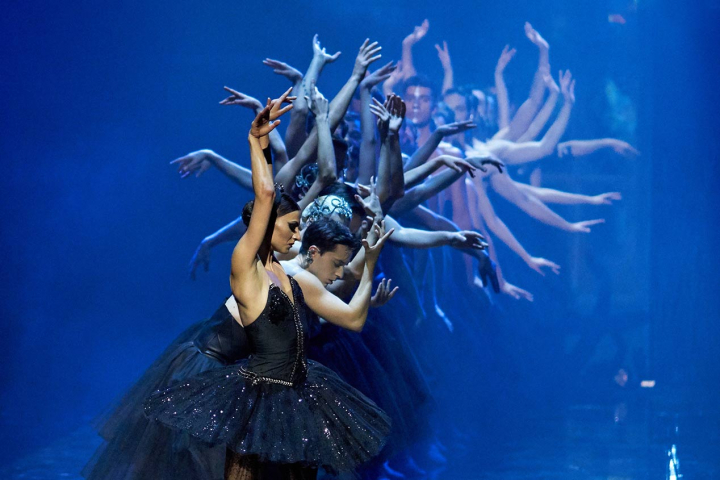 &Eta; &lambda;ί&mu;&nu;&eta; &tau;&omega;&nu; &kappa;ύ&kappa;&nu;&omega;&nu;