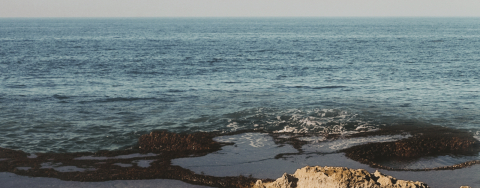 ΜARE NOSTRUM: Jordi Savall, the musical ensemble Hespèrion XXI and the GNO Intercultural Orchestra at a concert with music from the Mediterranean